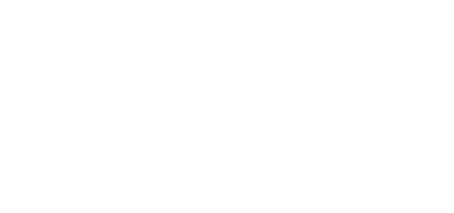 Regionalstrom AG